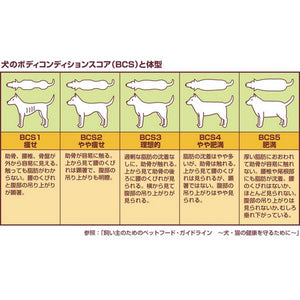 DHC 日本製改善體重燒脂丸 （犬用健康食品） 買物課 KAIMONOKA 日本 代購 連線 香港 ALL PRODUCTS DHC DOG DOGS HOUSEHOLD MADE IN JAPAN MIJ PETS 日本製 犬 狗