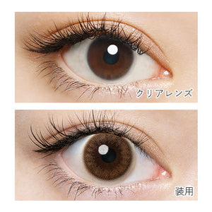 FLANMY Shell Sand Brown 1 Day Color Con 買物課 KAIMONOKA 日本 代購 連線 香港 ALL PRODUCTS COLOR CON COLOUR CON CONTACT LENS MAKEUP 大眼仔 美瞳 隱形眼鏡